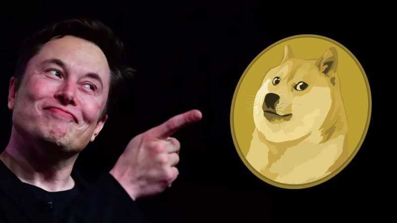 Elon Musk with Dogecoin: buy Dogecoin in India