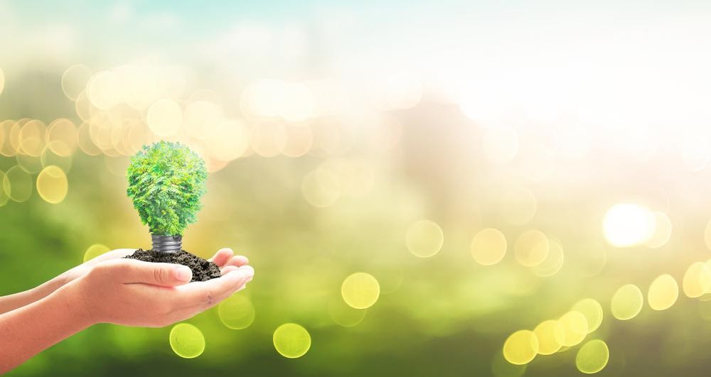 4 Steps to Building an Eco-Friendly Business