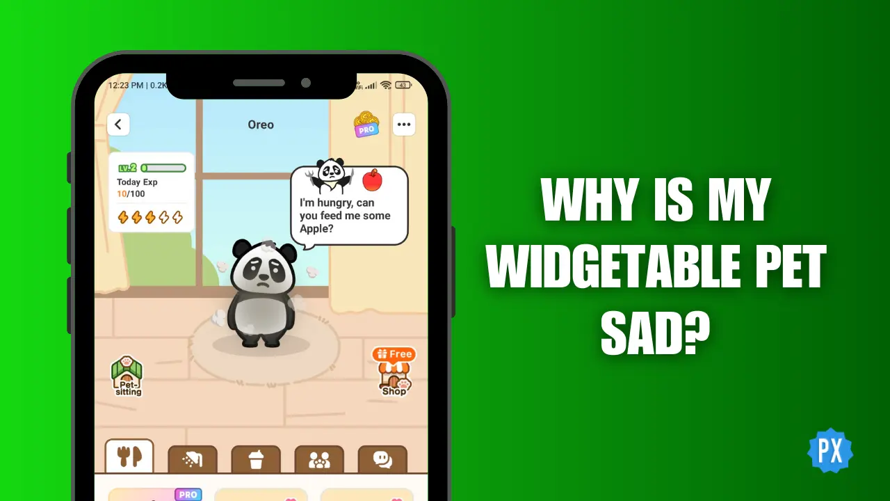 Why Is My Widgetable Pet Sad